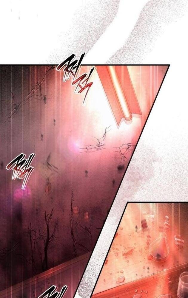 Huyễn Tượng Thợ Săn Tại Dị Giới - Page 13