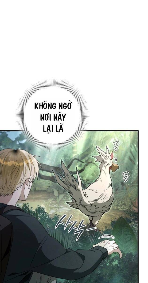 Huyễn Tượng Thợ Săn Tại Dị Giới - Page 28