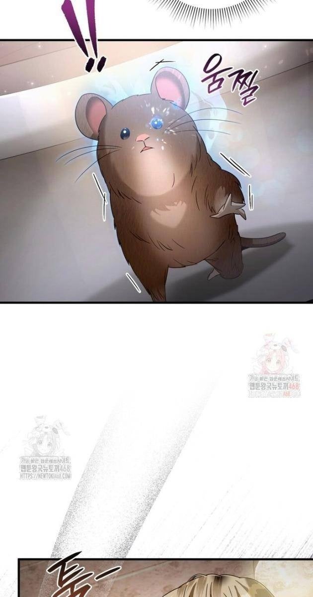 Huyễn Tượng Thợ Săn Tại Dị Giới - Page 16
