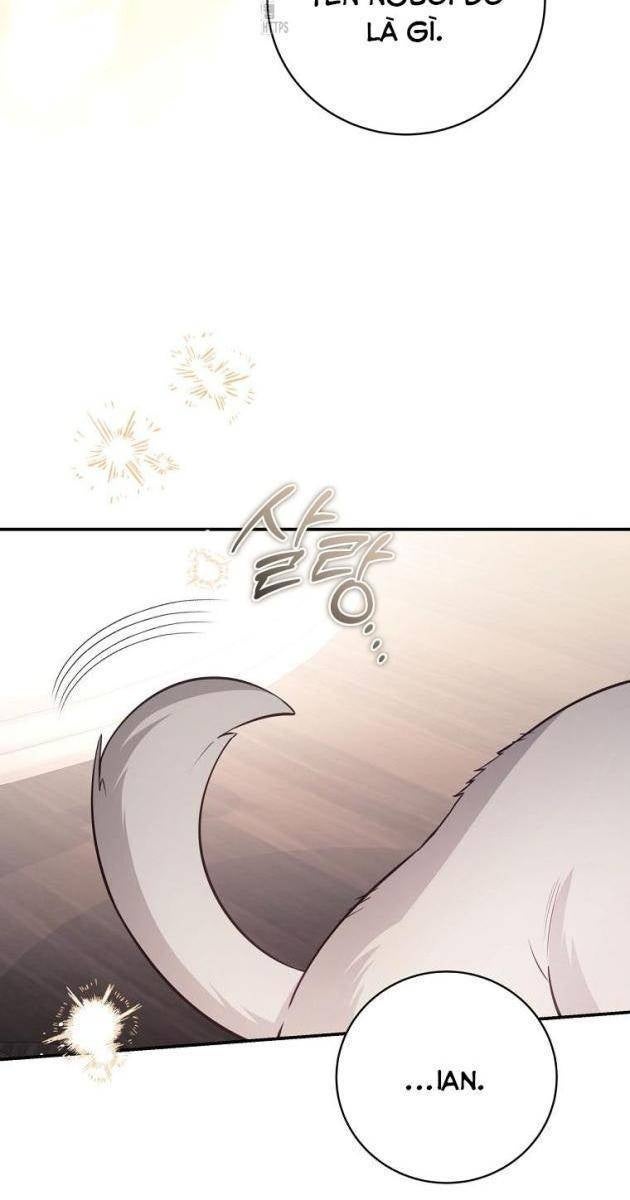 Bá Tước Khốn Nạn Là Hoàng Đế - Page 52