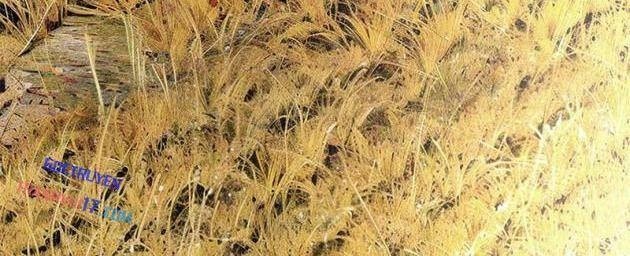 Máy Mô Phỏng Nhân Sinh Của Lữ Bố - Page 20