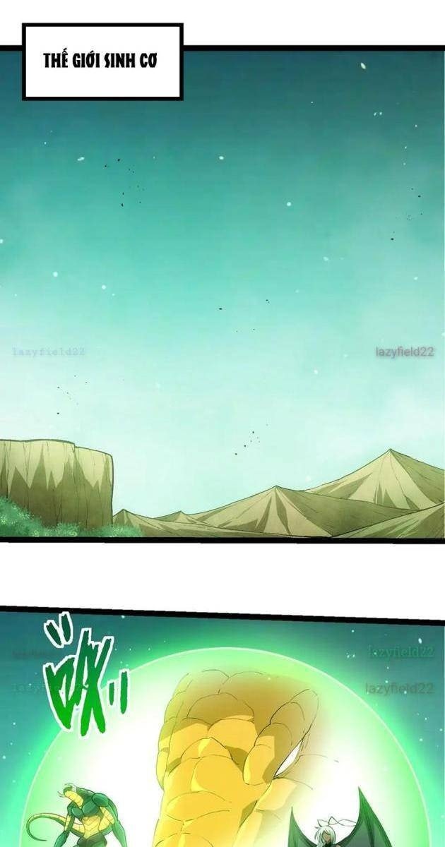 Chuyển Sinh Thành Liễu Đột Biến - Page 1