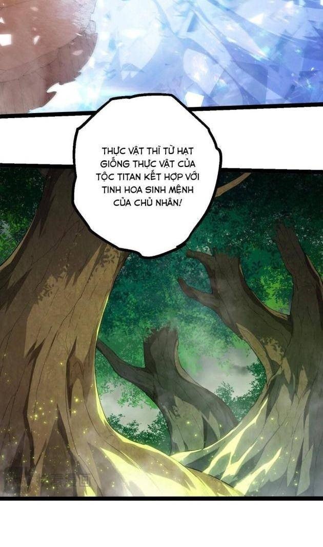 Chuyển Sinh Thành Liễu Đột Biến - Page 11