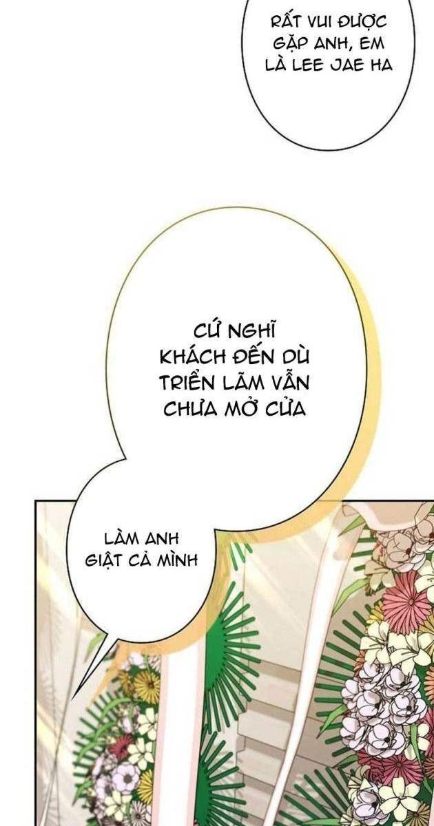Sự Tái Sinh Của Nhà Thiết Kế Tài Ba - Page 19