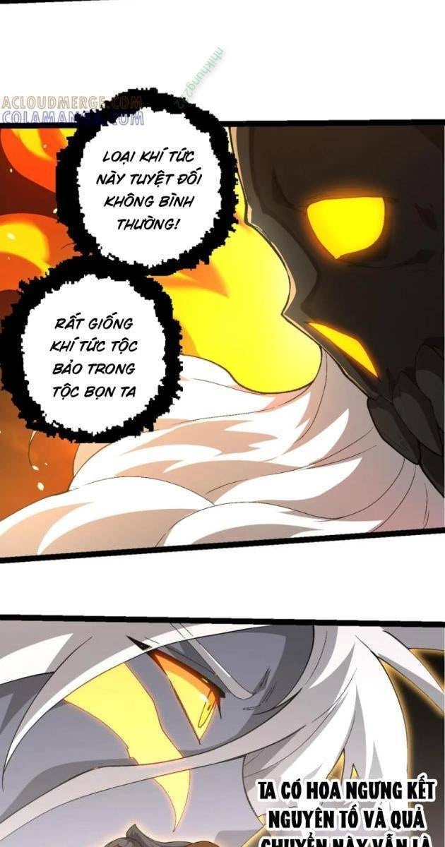 Chuyển Sinh Thành Liễu Đột Biến - Page 33