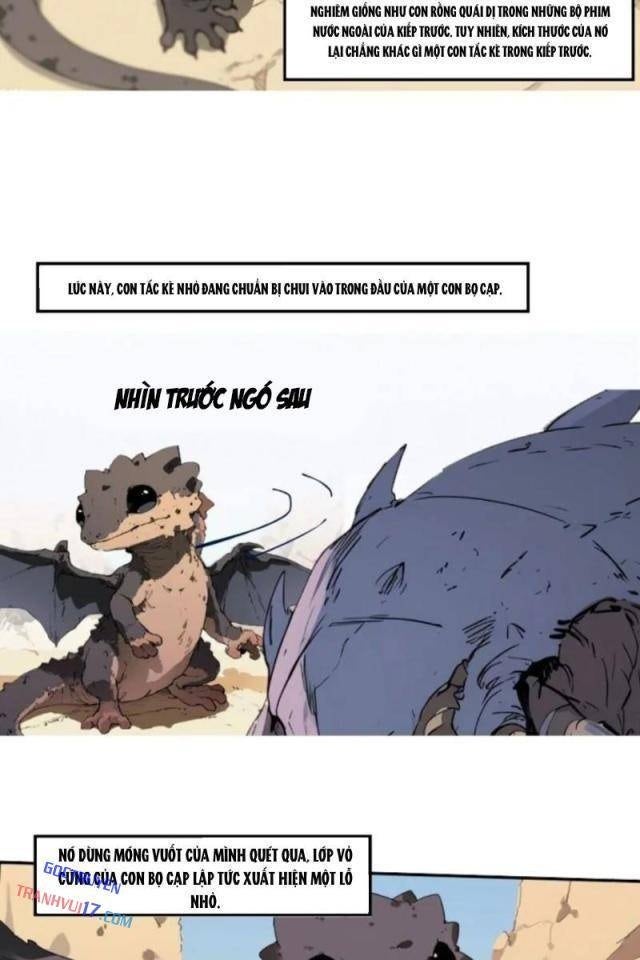 Từ Một Hồ Nước Bắt Đầu Tiến Hóa - Page 18