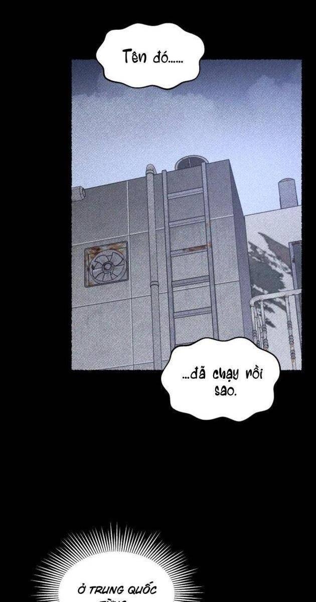 Cỗ Máy Dự Báo Sát Nhân - Page 47