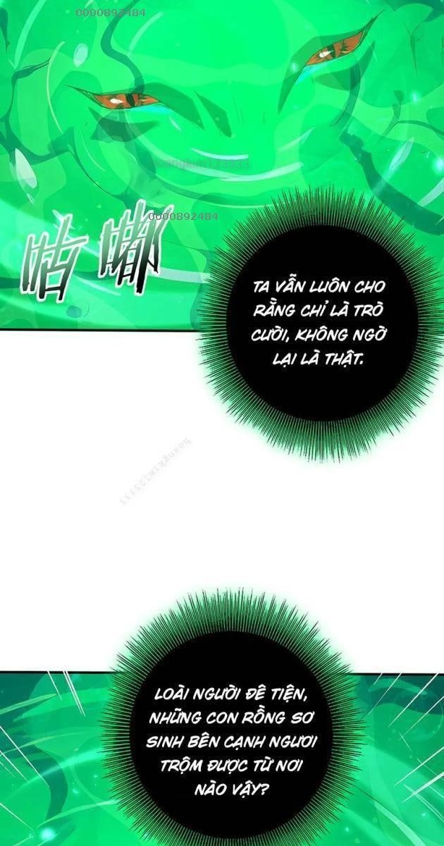 Toàn Dân Chuyển Chức: Ngự Long Sư Là Chức Nghiệp Yếu Nhất? - Page 5