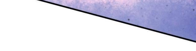 Con Trai Út Của Gia Đình Kiếm Thuật Danh Tiếng - Page 125