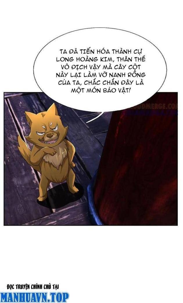 Thu Triệu Vạn Đồ Đệ, Vi Sư Vô Địch Thế Gian - Page 16