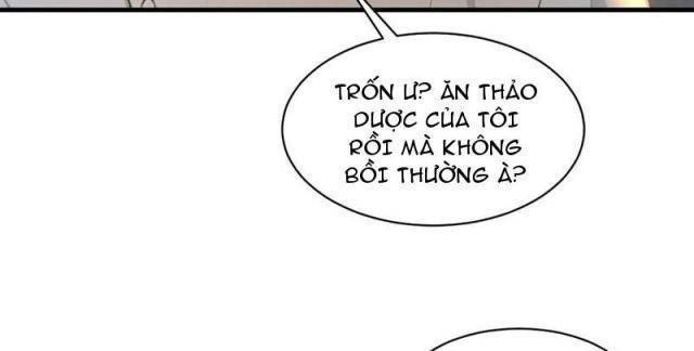 Ma Tôn Nữ Đế Xuyên Không Thành Cấp Trên Của Tôi! - Page 14