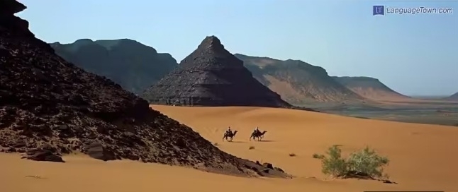 첨부된 사진 첨부된 사진