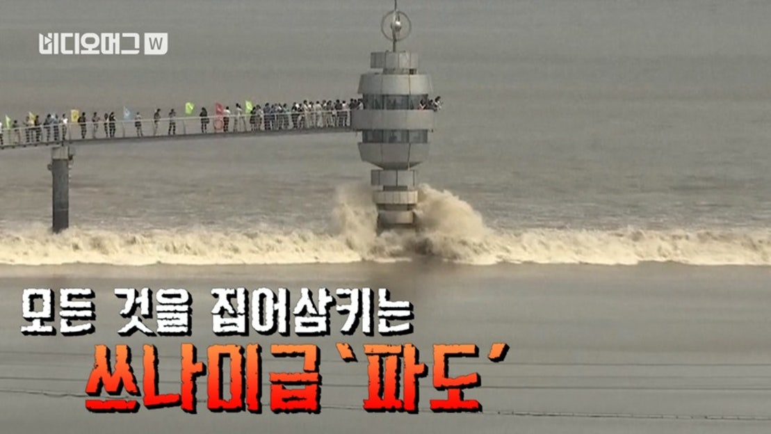 역류하는 바닷물? 中 첸탄강 거대한 조수 해일 '장관' - 네이버 TV