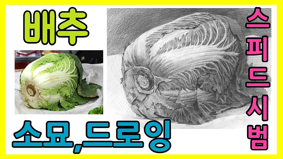 배추 소묘,드로잉(drawing) 스피드시범 미술동영상 - 네이버 TV