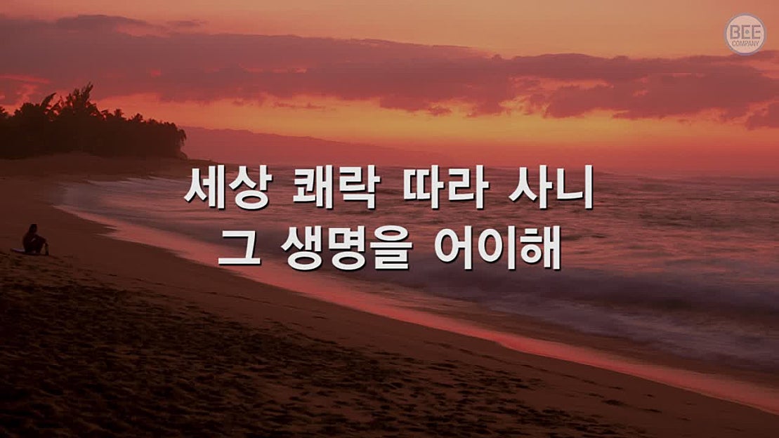 [새찬송가] 513 헛된 욕망 길을 가며 - 네이버 TV