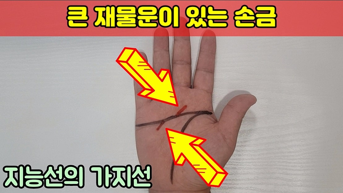 큰재물이 있는 손금 (지능선의 가지선) - 네이버 TV