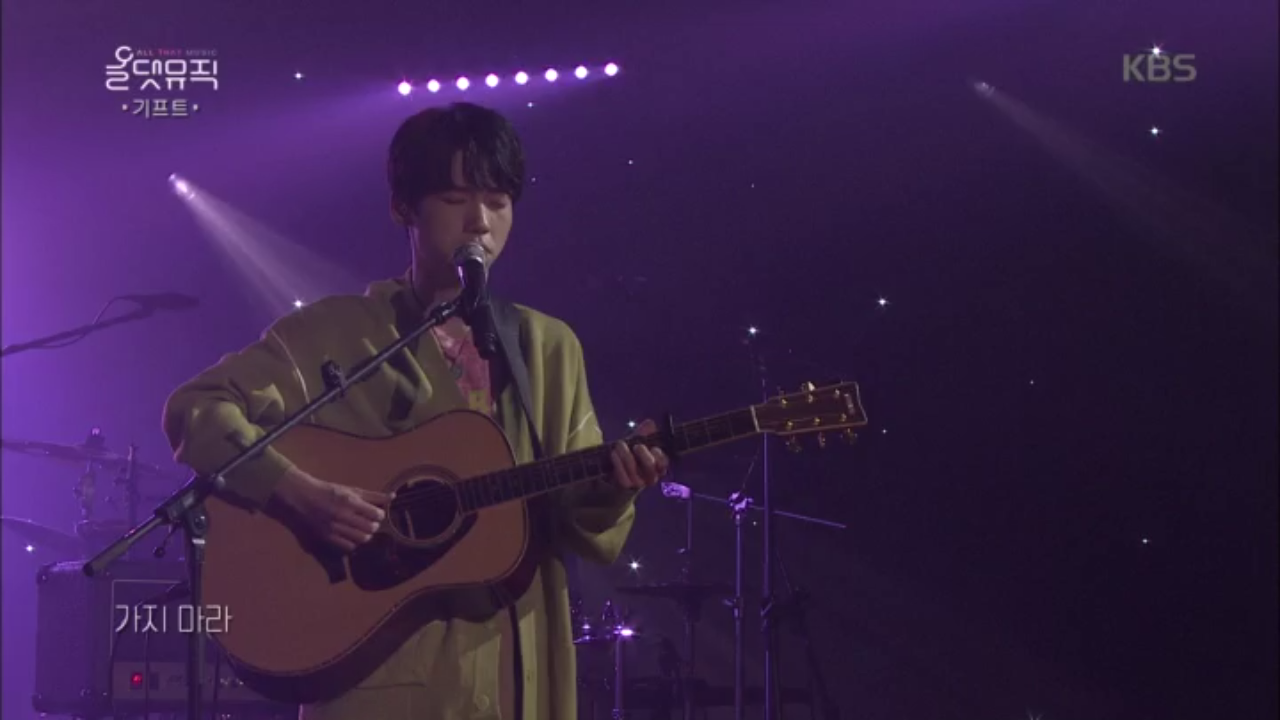 기프트- 고양이