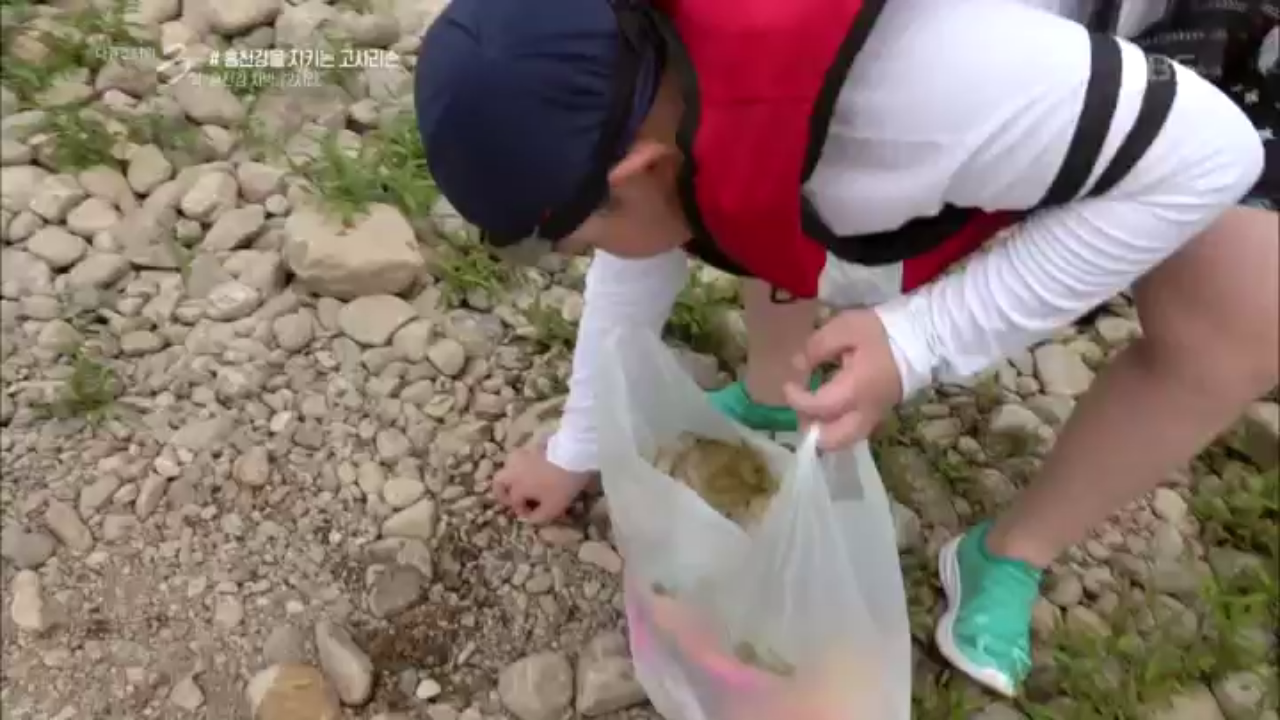 홍천강을 지키는 고사리손과 택배 차박