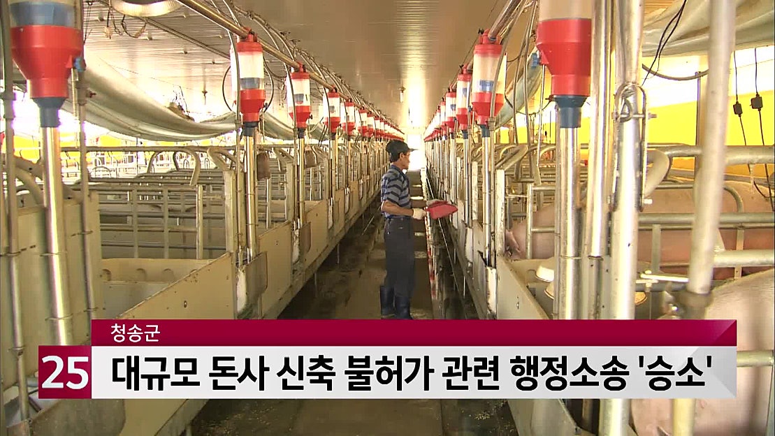 청송군, 대규모 돈사 신축 불허가 관련 행정소송 ′승소′ - 네이버 TV