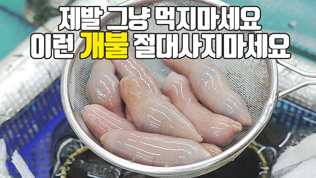 개불 손질 어렵지 않아요. 못먹는사람도 먹게 만드는 요리법 , 보관법, 고르는법 - 네이버 TV