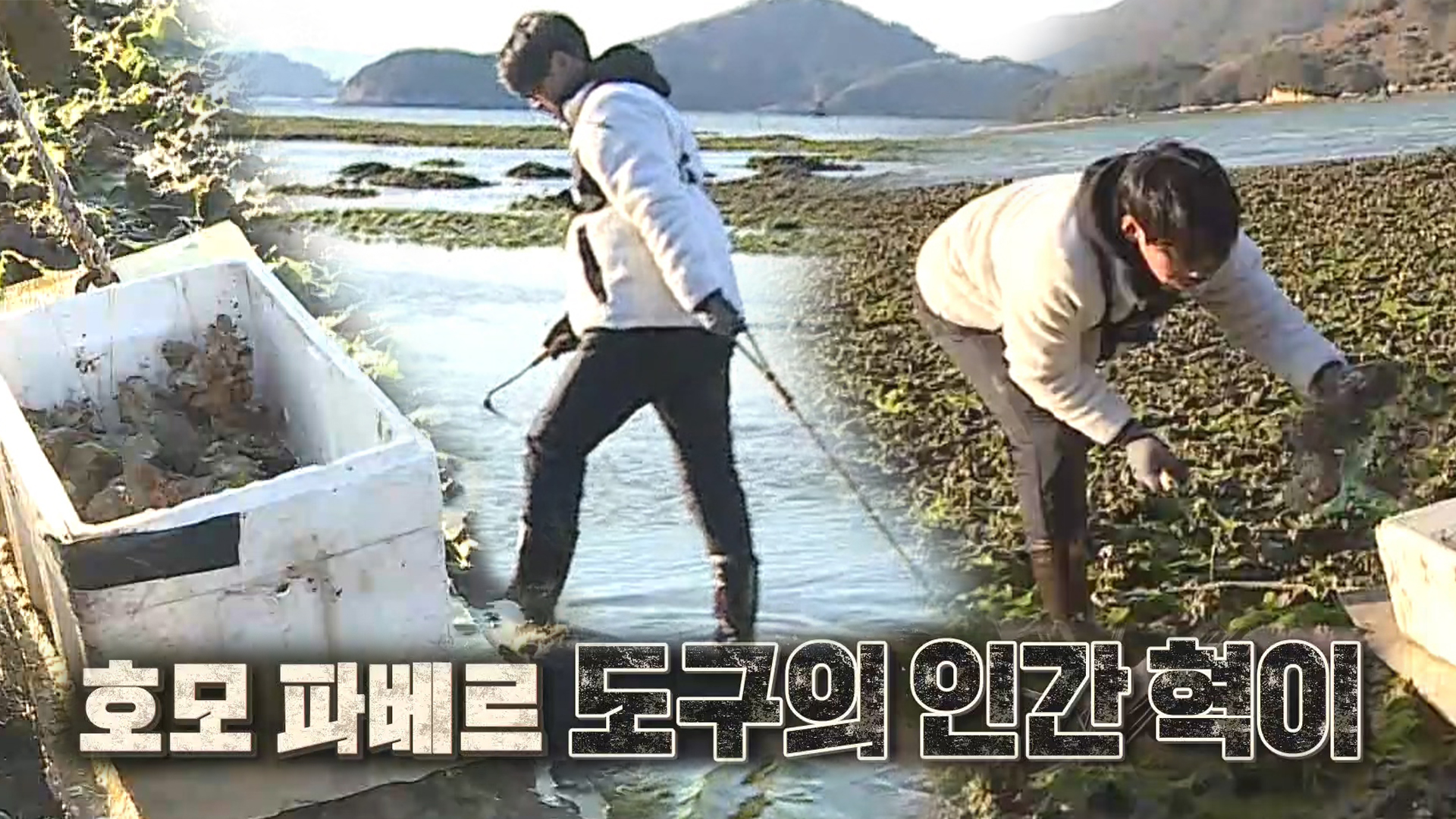 ‘습관적 눈썰미’ 장혁, 전략적인 도구 활용★