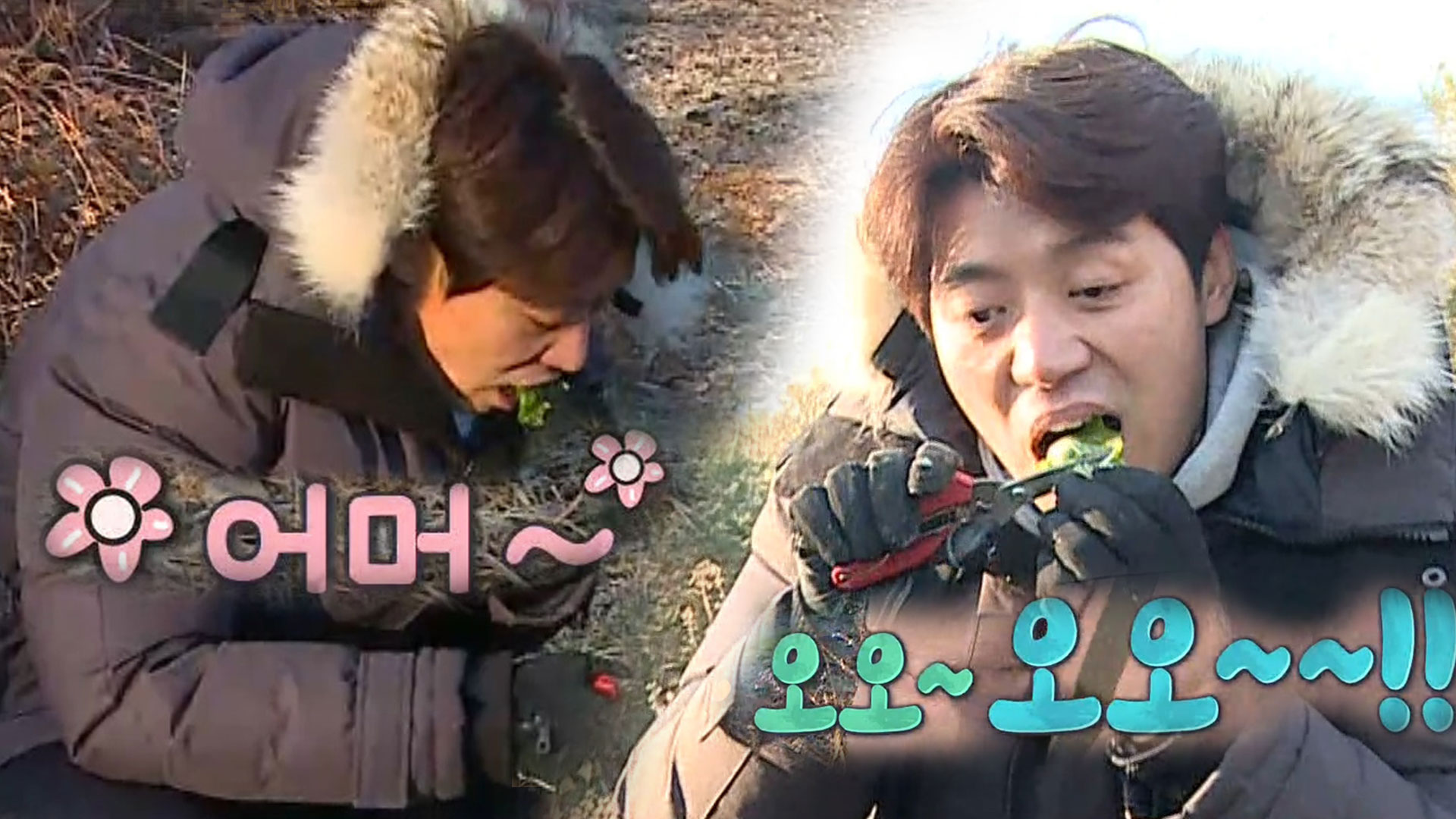 송훈, 셰프의 눈썰미로 찾는 정글 식재료 탐방!