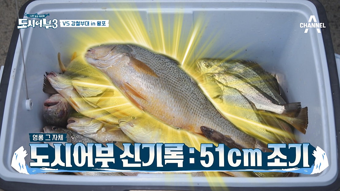 도시어부에서만 볼 수 있는 초대형 조기 회! | 도시어부3 8화 - 네이버 TV