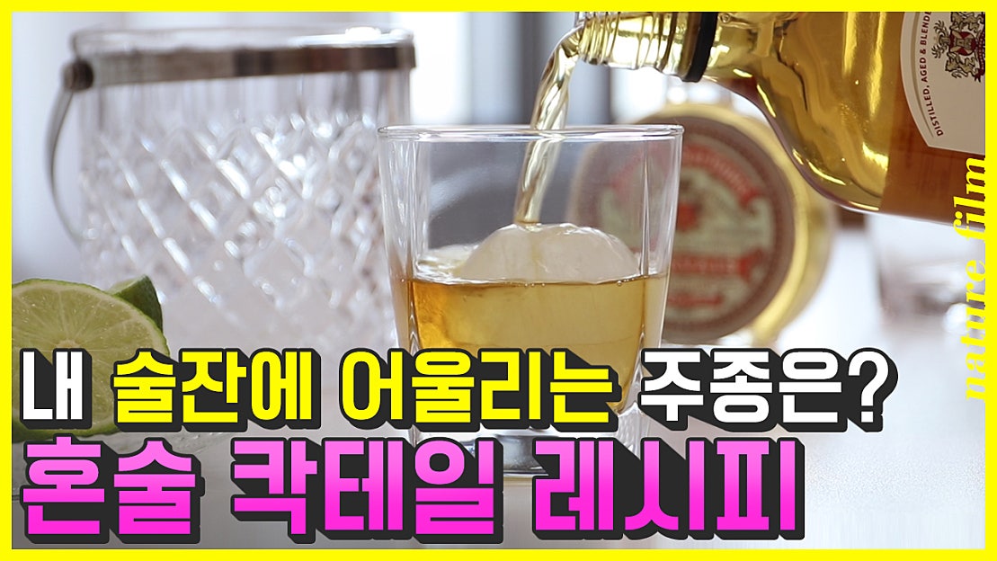 내 오션글라스는 어떤 술이 어울릴까? 네이쳐필름#18. 술잔에 어울리는 혼술 칵테일 레시피 - 네이버 TV