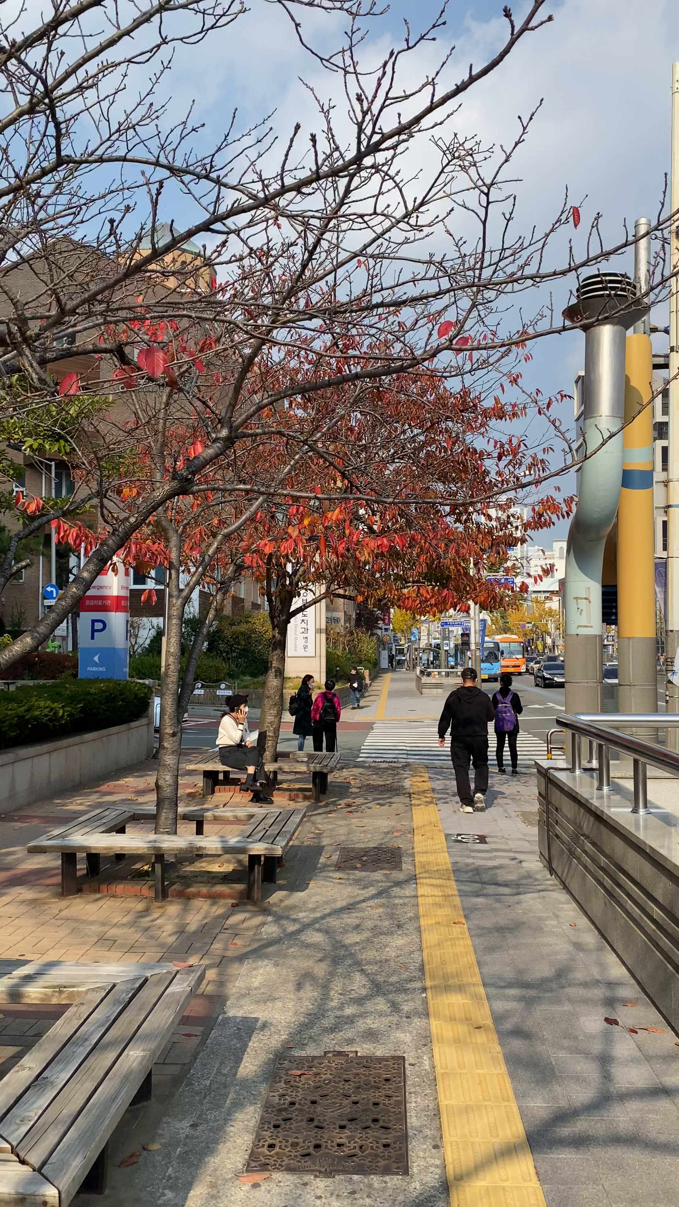 2021.11.20 13:29 🌡20℃ 부산 광안리 날씨 🍁 금련산역 늦가을 단풍 초겨울낙엽 | Korean weat