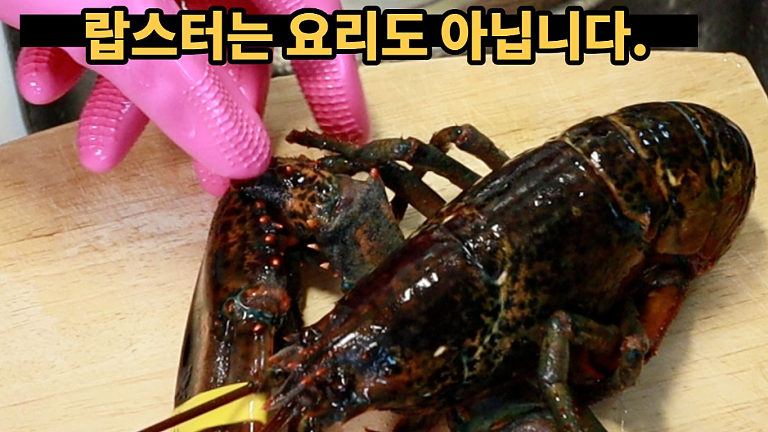 살아있는 랍스터 1마리 만원? 랍스터 회 만들기, 랍스터 쪄서 먹기! 집에서도 만드는 방법 - 네이버 TV