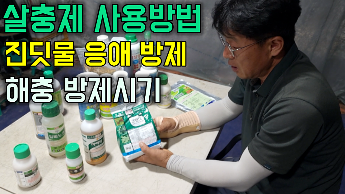 살충제 사용방법과 천연살충제 - 네이버 TV