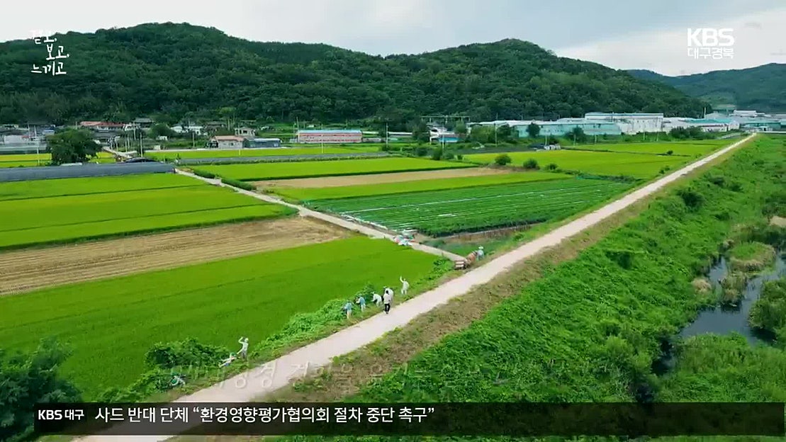 [걷고 보고 느끼고] 이운순례길을 걷다 - 네이버 TV