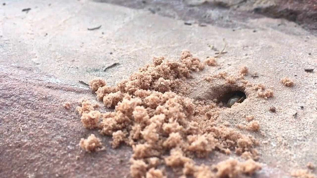 미국 서부 여행 코스 불의계곡 주립공원