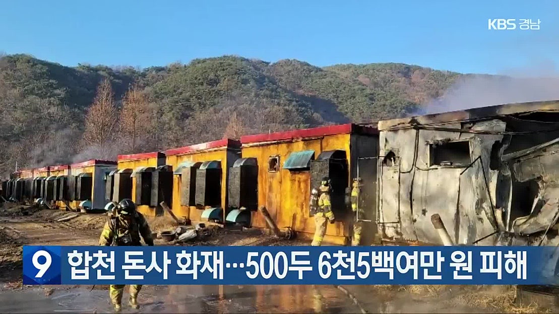 합천 돈사 화재…500두 6천5백여만 원 피해 - 네이버 TV