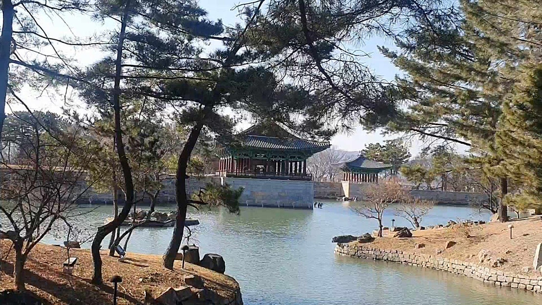 동궁과월지 경주 안압지 월성 별궁터 기러기 - 월지 섬 - 네이버 TV