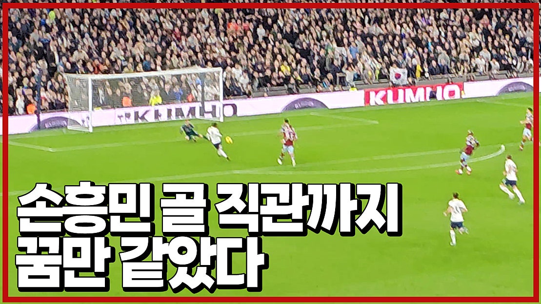 손흥민 골 직관까지, 꿈만 같았다 - 네이버 TV