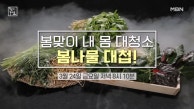 내 몸을 살린 자연의 선물 봄 초록 MBN 230324 방영