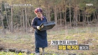 제철음식 먹으면 탱남암 완치된다?! MBN 230324 발송