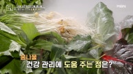 심혈관 건강을 돕는 봄나물? MBN 230324 발송