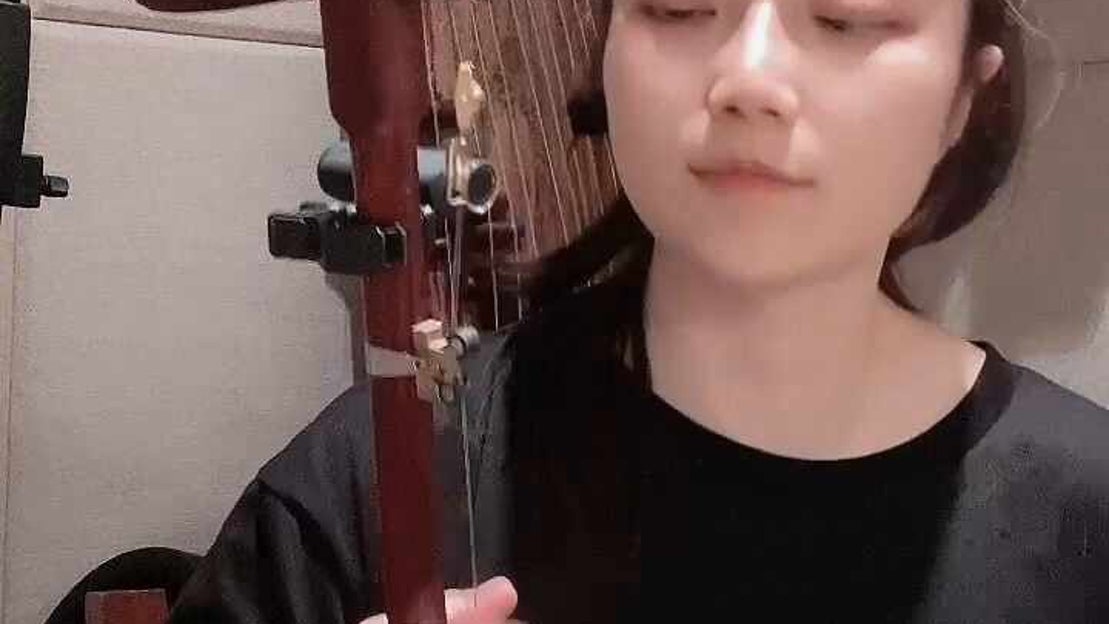 얼후연주