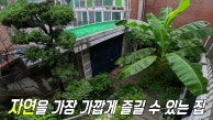자연인을 꿈꾸는 남자의 푸른 마당 집!