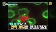 면역력 지키는 건강 비법_장수상회 53회 예고 TV CHOSUN 230913 방송
