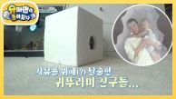 🚨비상 "얘들아 큰일 났어!" 아침부터 귀뚜라미 대탈출! 성호 아빠의 처절한 외침 | KBS 230912 방송