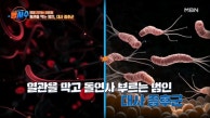 혈관에 쌓이는 기름때의 정체는? 대사 증후군이 부르는 비극 MBN 230913 방송