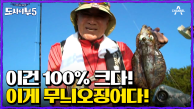 ＂이게 도시어부5 무늬오징어야＂ 차원이 다른 무게감! 역시 한 건 해주는 덕화형