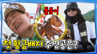 [#도시어부5] 낙지한테 낚인 경규! 낙지vs돌문어 시가 맞대결 승자는?