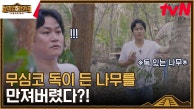 나무박사 김성균, 독이 든 나무에 호되게 당할 뻔하다? | tvN 230915 방송