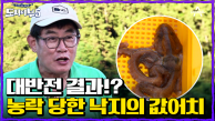 무시당하던 낙지의 반란?! 설마 경규가 황금배지?