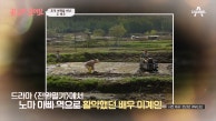 전원일기 촬영 장소를 방문한 두 사람! 속절없이 흐른 세월에 변해버린 몸(T_T)