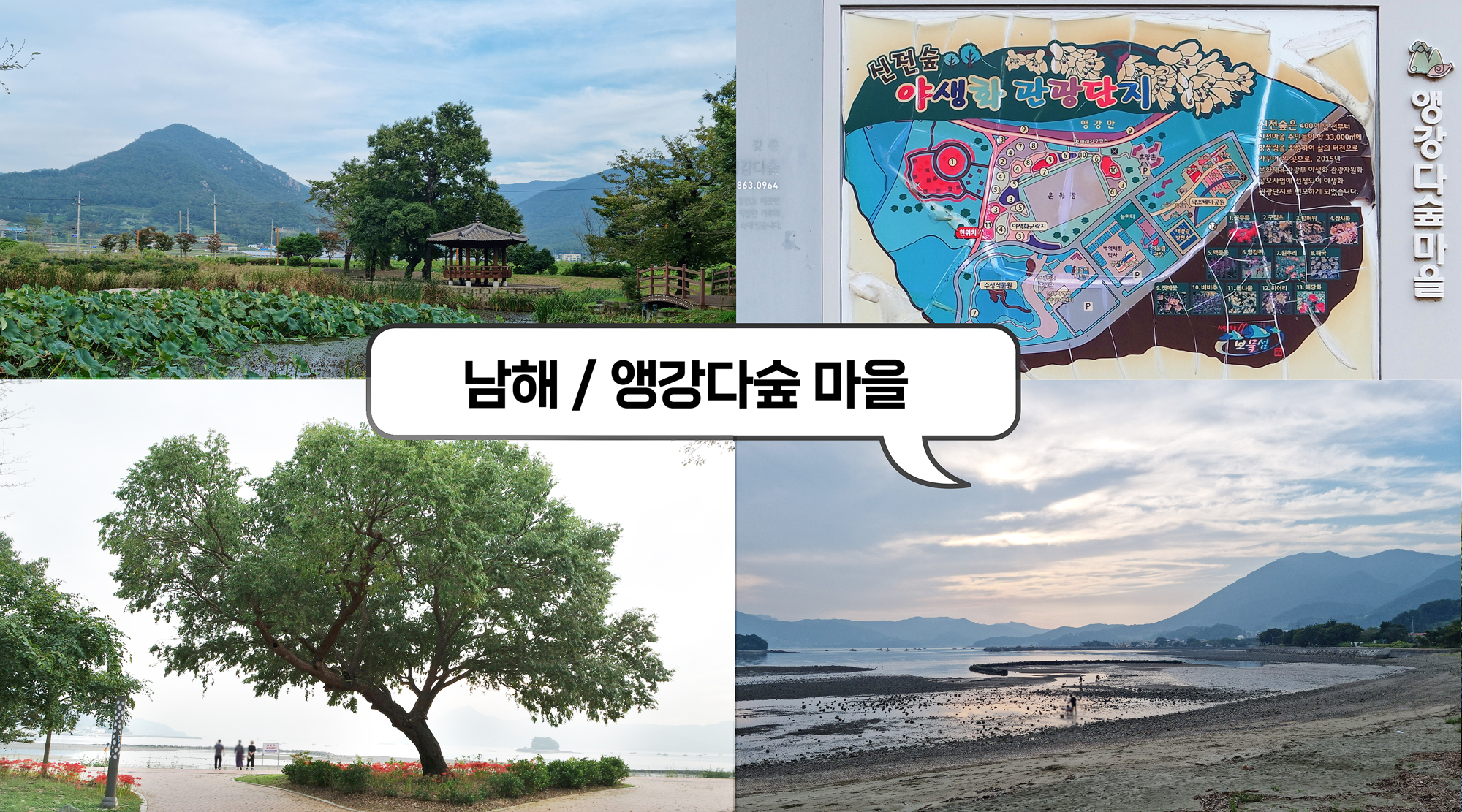 남해 앵강다숲마을 신전숲 야생화 관광단지 23년 10월